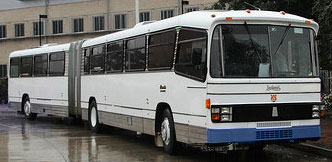 bendy bus bondi, bendy bus hire bondi junction, bus hire bondi